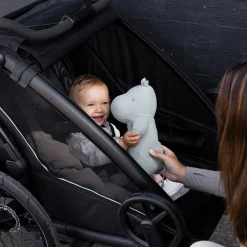 Thule Chariot Sport 2 double - Natural Gold- Cykelvogne