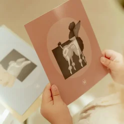 Little Dutch Dyrlæge klinik- Rolleleg