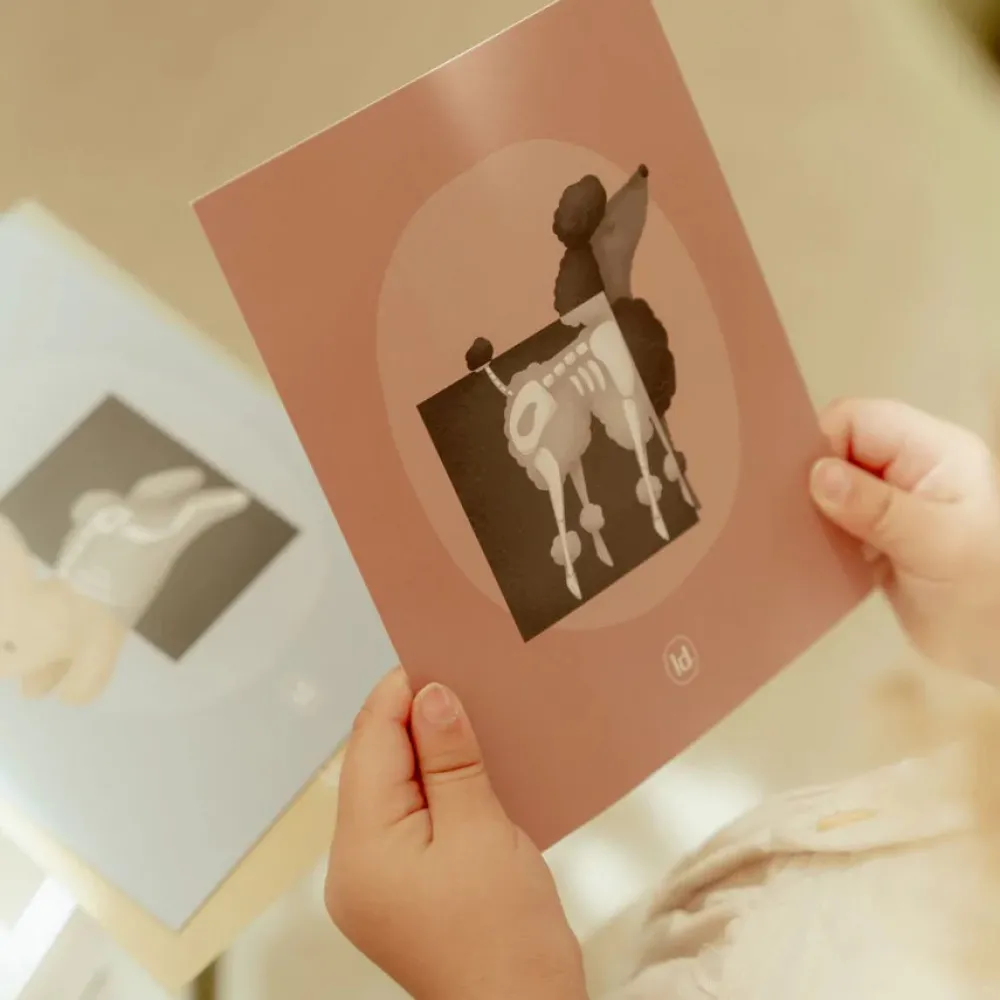 Little Dutch Dyrlæge klinik- Rolleleg