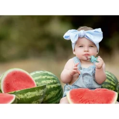 NENO Frugtsut bidering med beholder- Foodfeeder Og Frugtsut