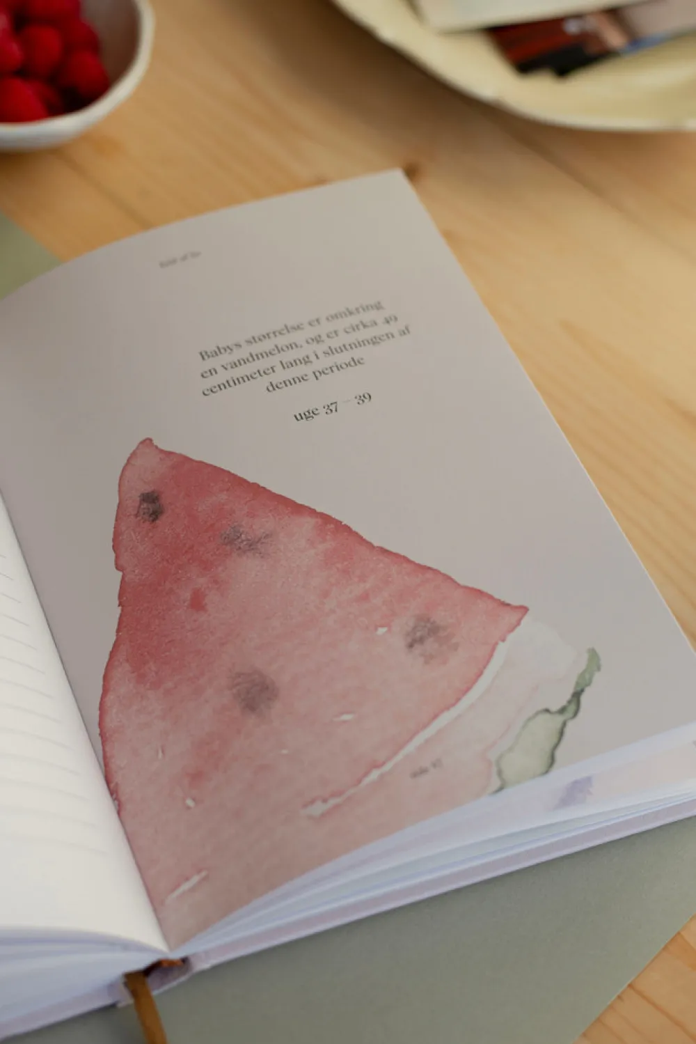 Specialday Fuld af liv - min graviditet- Bøger