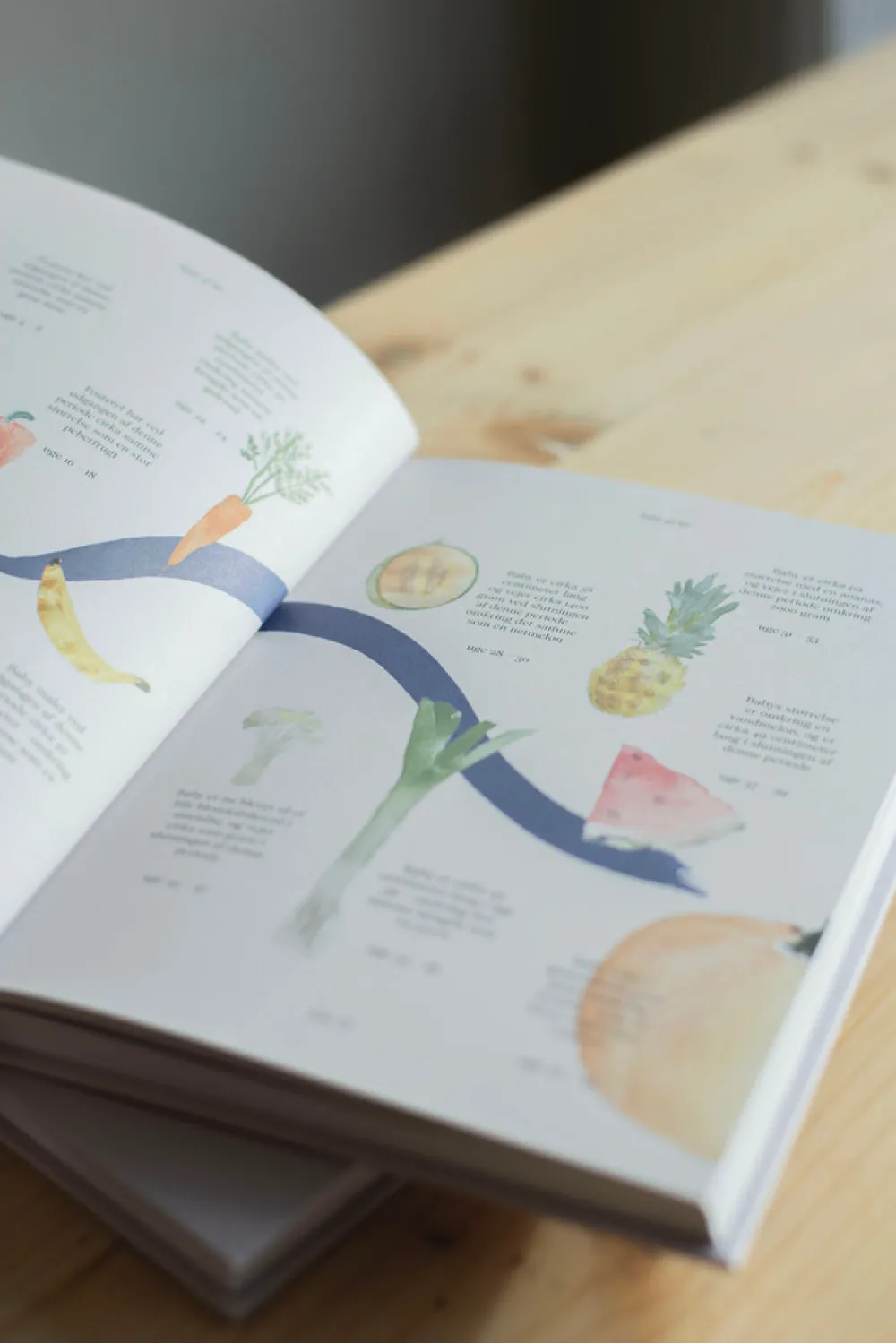 Specialday Fuld af liv - min graviditet- Bøger