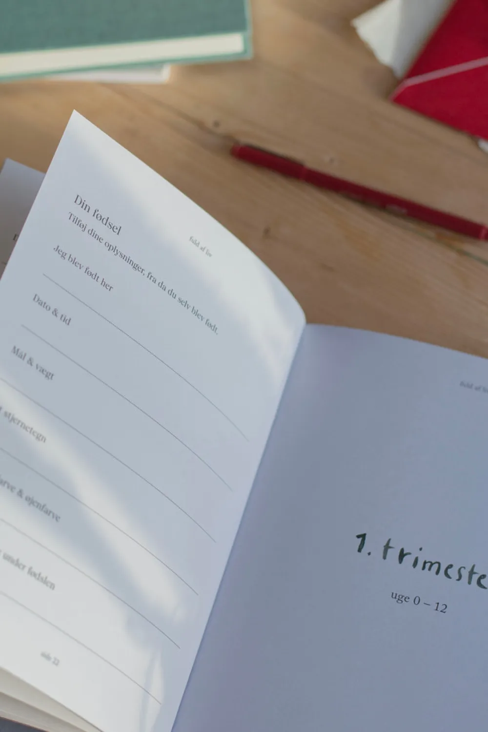 Specialday Fuld af liv - min graviditet- Bøger