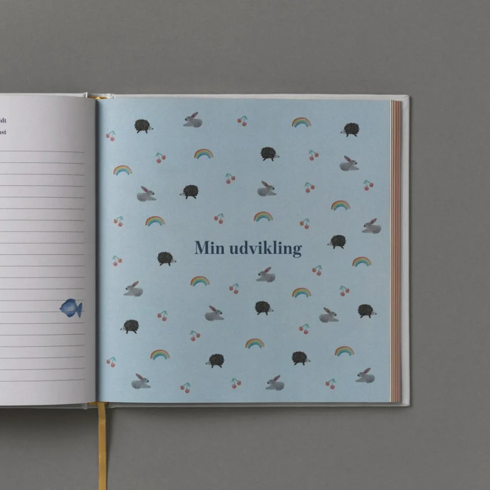 Specialday Mine første år - blå- Barnets Bog