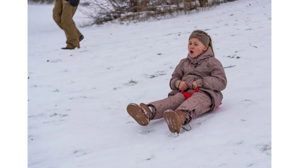 DanToy Numse slæde ass. farver- Leg I Haven