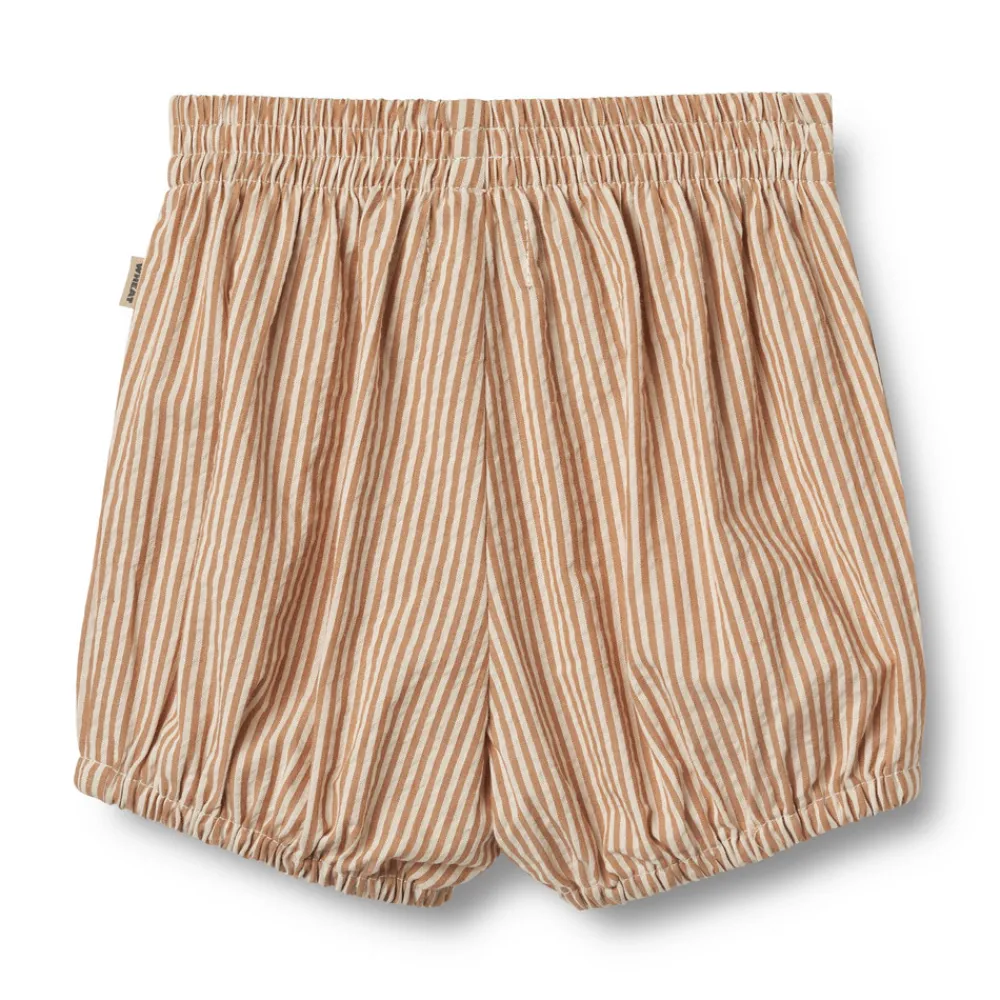 Wheat Shorts Ollie - 5078- Shorts