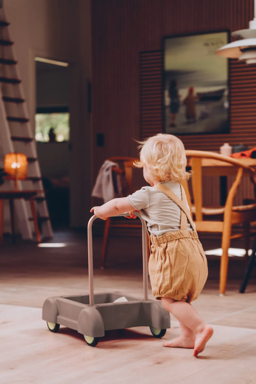 DanToy Tiny Gåvogn- Gåvogne & Aktivitetsborde